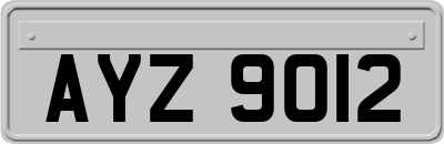 AYZ9012