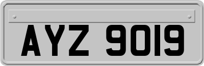 AYZ9019