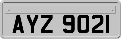 AYZ9021