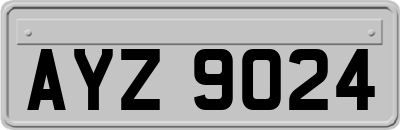 AYZ9024
