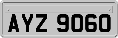AYZ9060