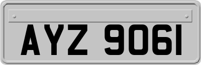 AYZ9061