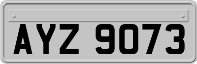 AYZ9073