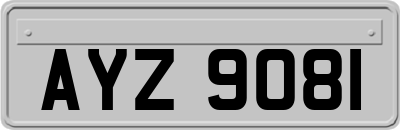 AYZ9081