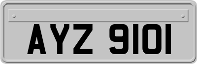AYZ9101