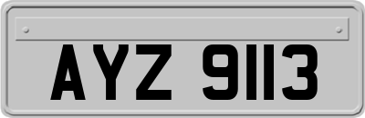 AYZ9113