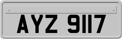 AYZ9117