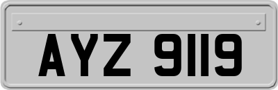 AYZ9119