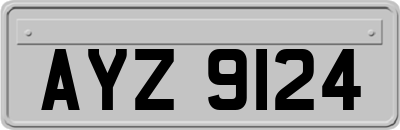 AYZ9124