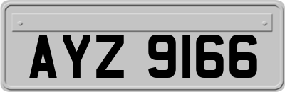 AYZ9166