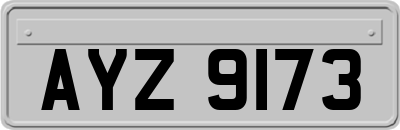 AYZ9173