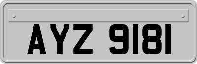 AYZ9181