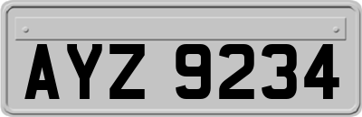 AYZ9234