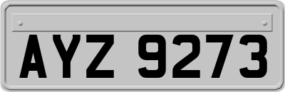 AYZ9273
