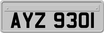 AYZ9301