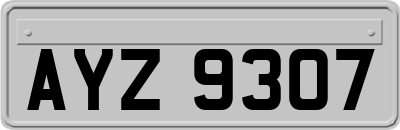 AYZ9307