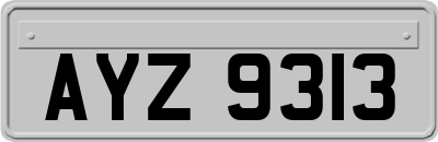AYZ9313