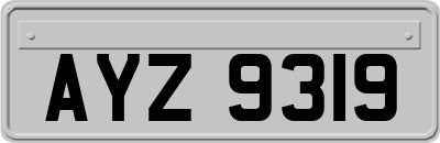 AYZ9319