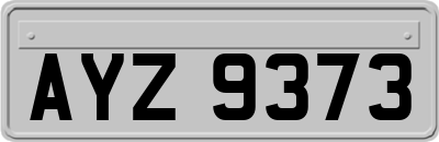AYZ9373