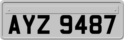 AYZ9487