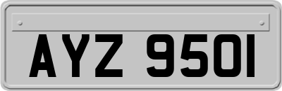 AYZ9501