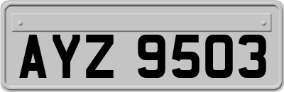 AYZ9503