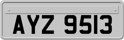 AYZ9513