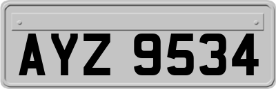 AYZ9534