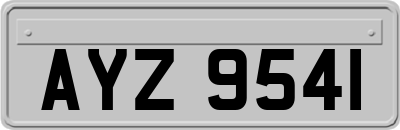 AYZ9541