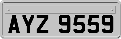 AYZ9559