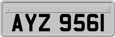 AYZ9561