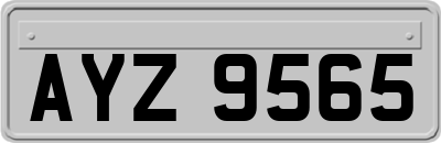 AYZ9565