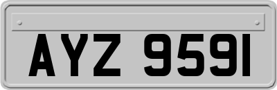 AYZ9591