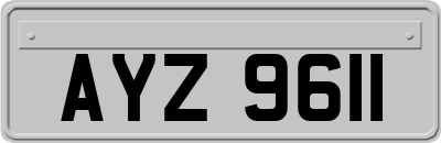 AYZ9611