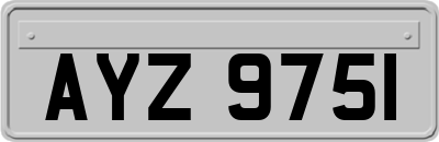 AYZ9751