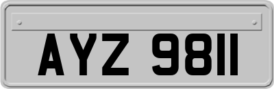 AYZ9811