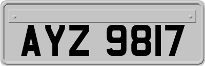 AYZ9817