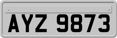 AYZ9873