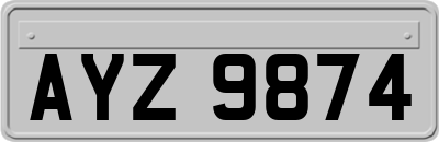 AYZ9874