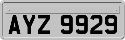 AYZ9929