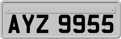 AYZ9955