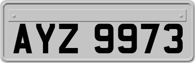 AYZ9973
