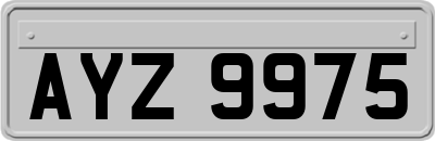 AYZ9975