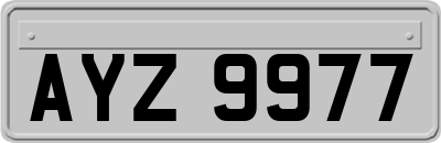AYZ9977