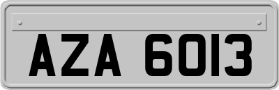 AZA6013