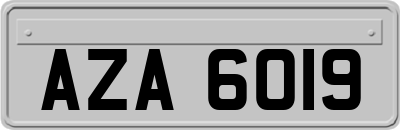 AZA6019