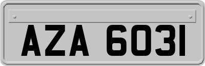 AZA6031