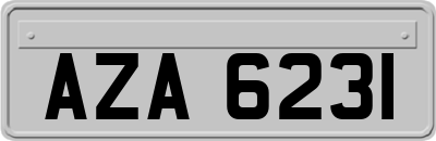AZA6231