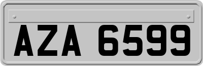 AZA6599