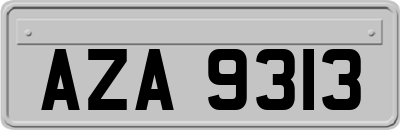 AZA9313